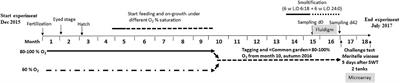 Development of Atlantic Salmon (Salmo salar L.) Under Hypoxic Conditions Induced Sustained Changes in Expression of Immune Genes and Reduced Resistance to Moritella viscosa